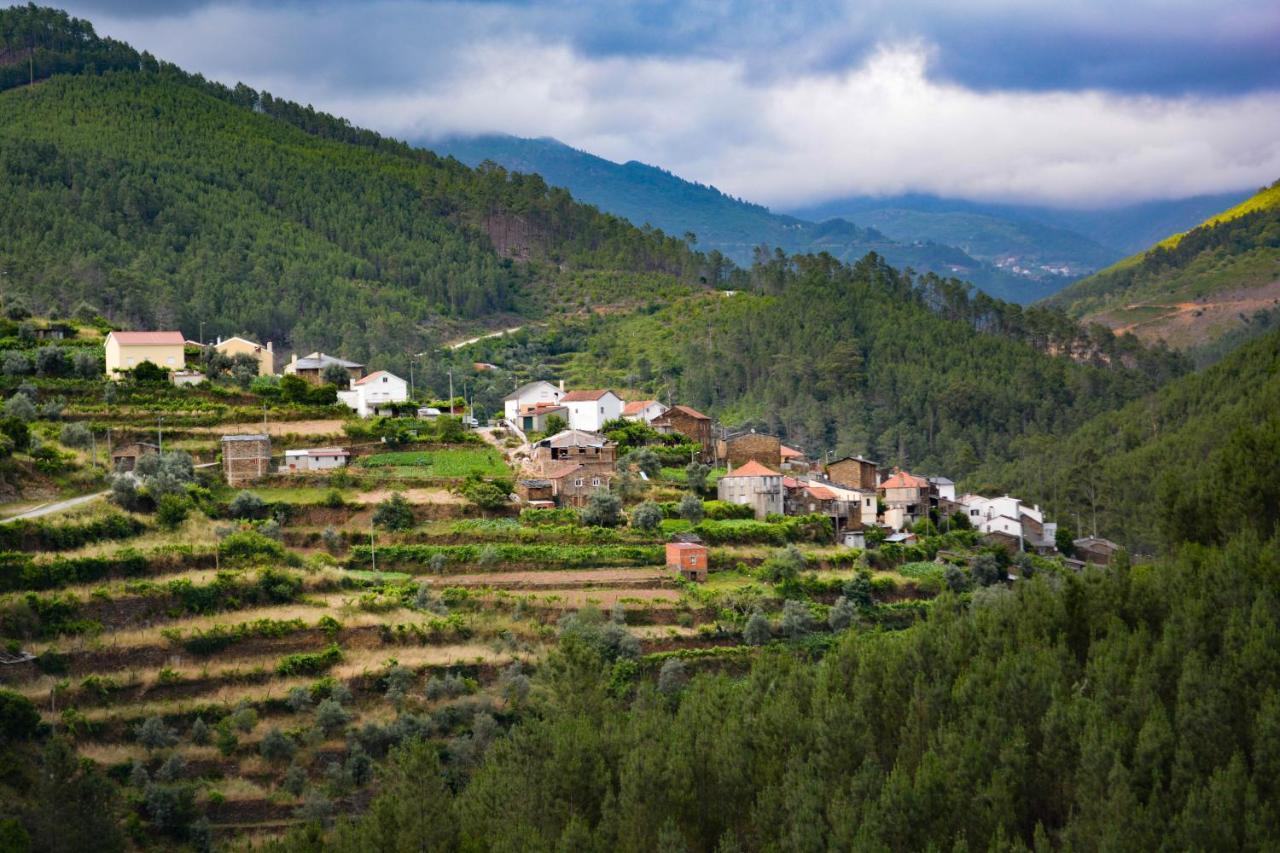 Casa Do Azereiro Βίλα Casal do Rei  Εξωτερικό φωτογραφία
