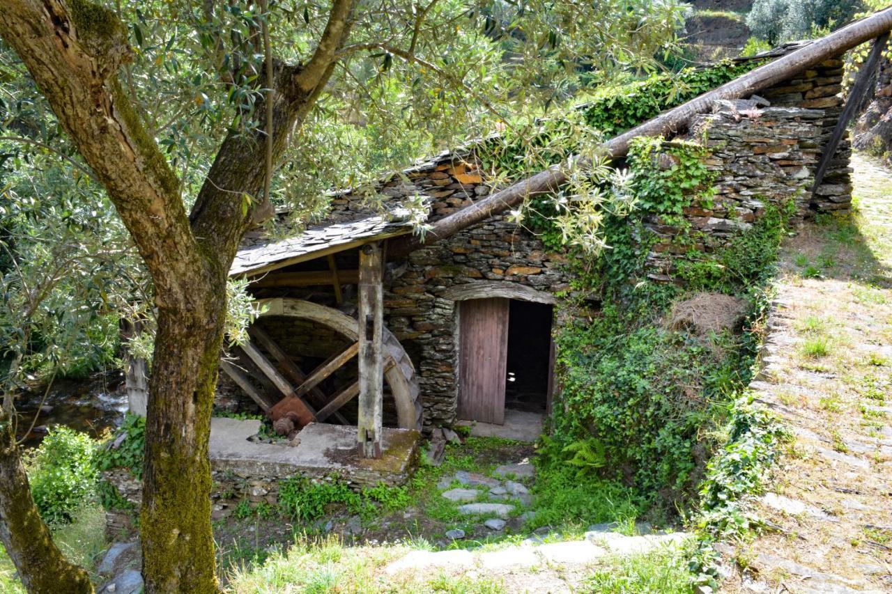 Casa Do Azereiro Βίλα Casal do Rei  Εξωτερικό φωτογραφία