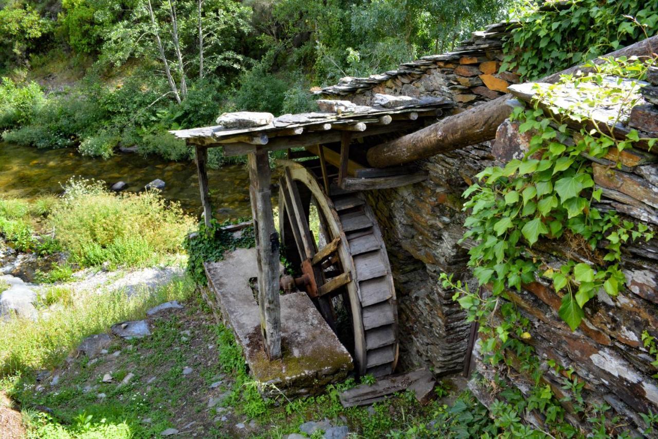 Casa Do Azereiro Βίλα Casal do Rei  Εξωτερικό φωτογραφία