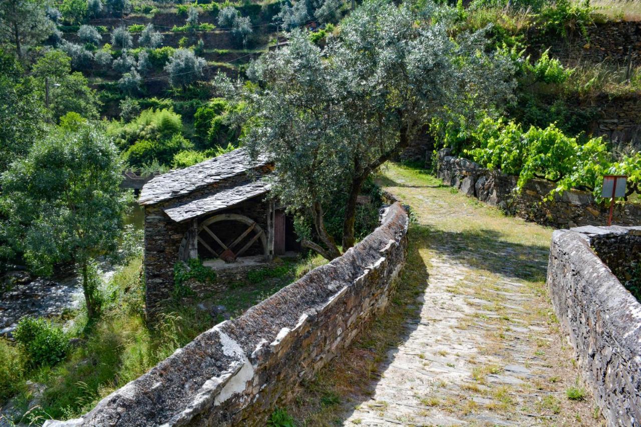 Casa Do Azereiro Βίλα Casal do Rei  Εξωτερικό φωτογραφία
