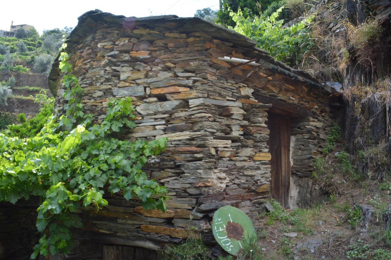 Casa Do Azereiro Βίλα Casal do Rei  Εξωτερικό φωτογραφία