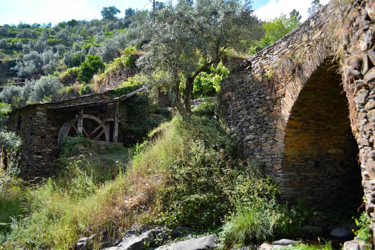 Casa Do Azereiro Βίλα Casal do Rei  Εξωτερικό φωτογραφία